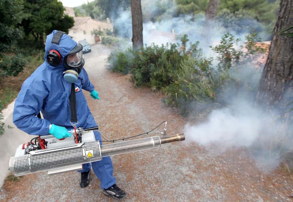 Un employé de l'EID Méditerranée pulvérise de l'insecticide dans le sud de la France. © Valery Hache, AFP