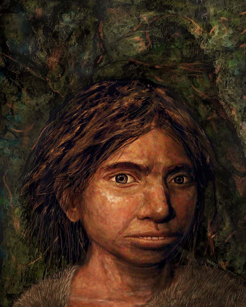 Vue d'artiste d'une jeune Dénisovienne d'environ 13 ans, morte depuis plus de 70.000 ans et dont les restes ont été retrouvés dans la grotte sibérienne de Denisova. © Maayan Harel