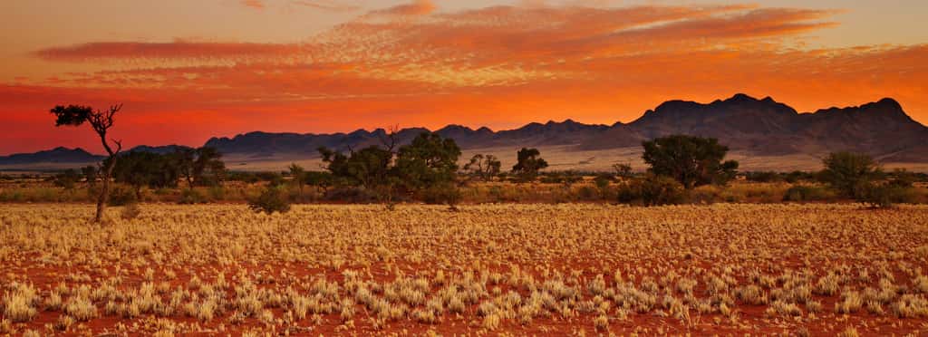 Le désert du Kalahari, en Namibie, s'étend dangereusement. © Dmitry Pichugin, Adobe Stock