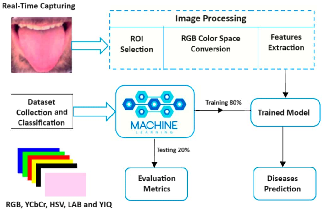 Schéma du fonctionnement de l’outil de diagnostic à partir d’une image d’une langue. © <em>Middle Technical University</em>