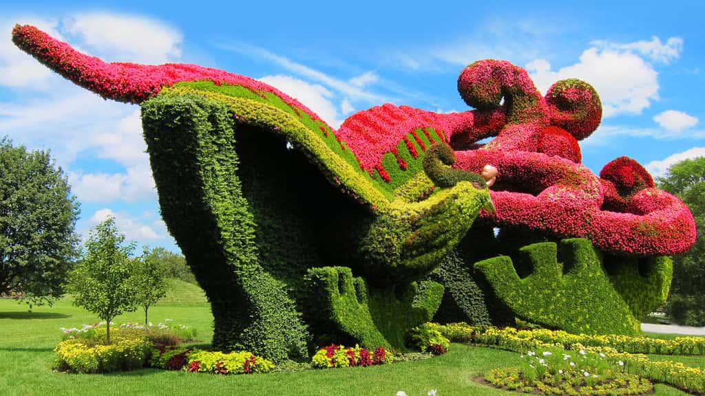 Sculpture végétale de phénix en fleurs de bégonia