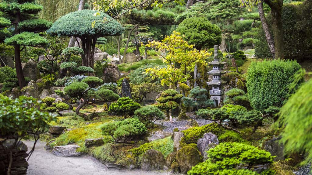 Le jardin japonais : la représentation du monde