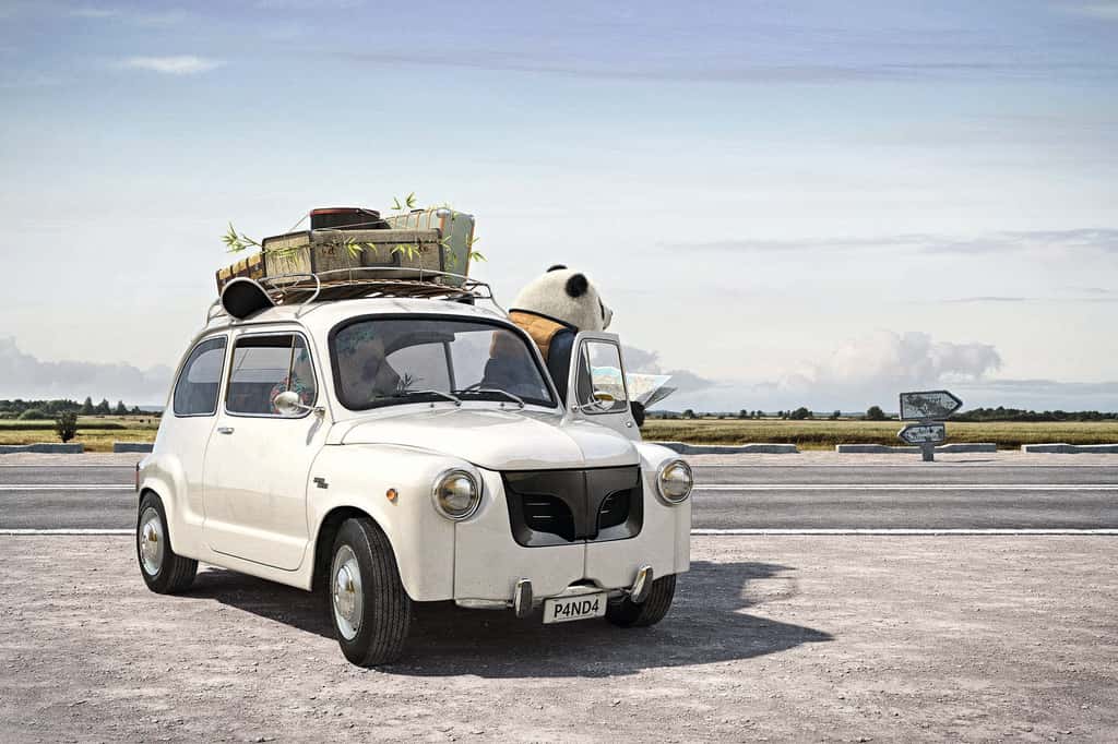 Fiat 600 : des pandas globe-trotteurs