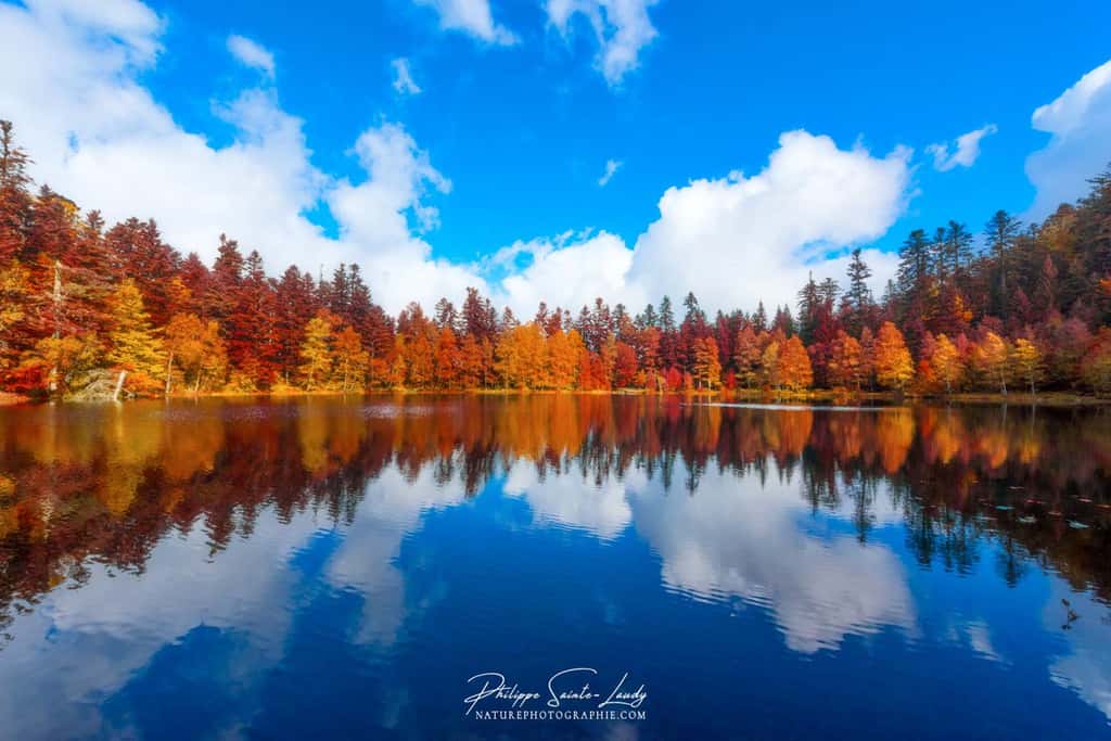 Reflets d'automne dans l'eau