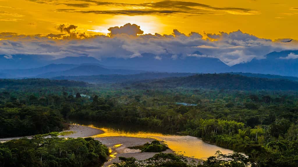 Les rivières de l'Équateur