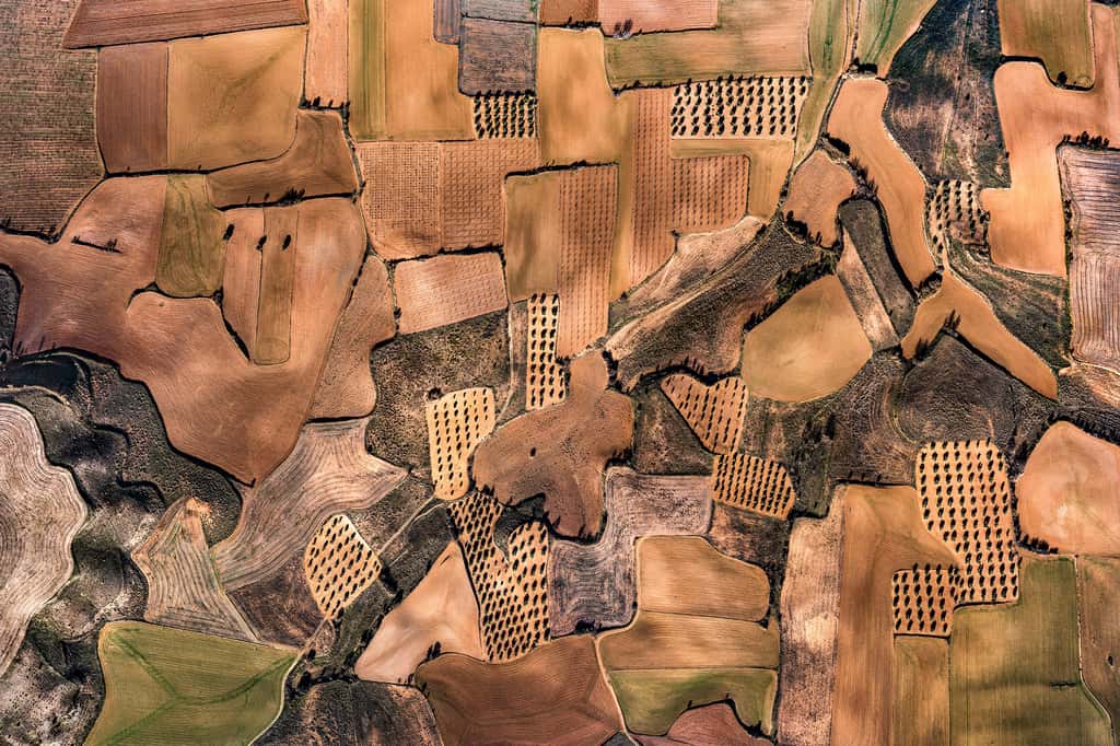 Un patchwork de terres agricoles comme un tableau de Vasarely