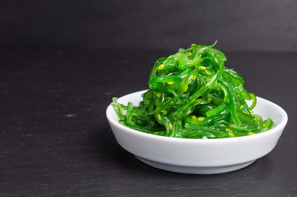 Le wakamé, le must de l’algue alimentaire