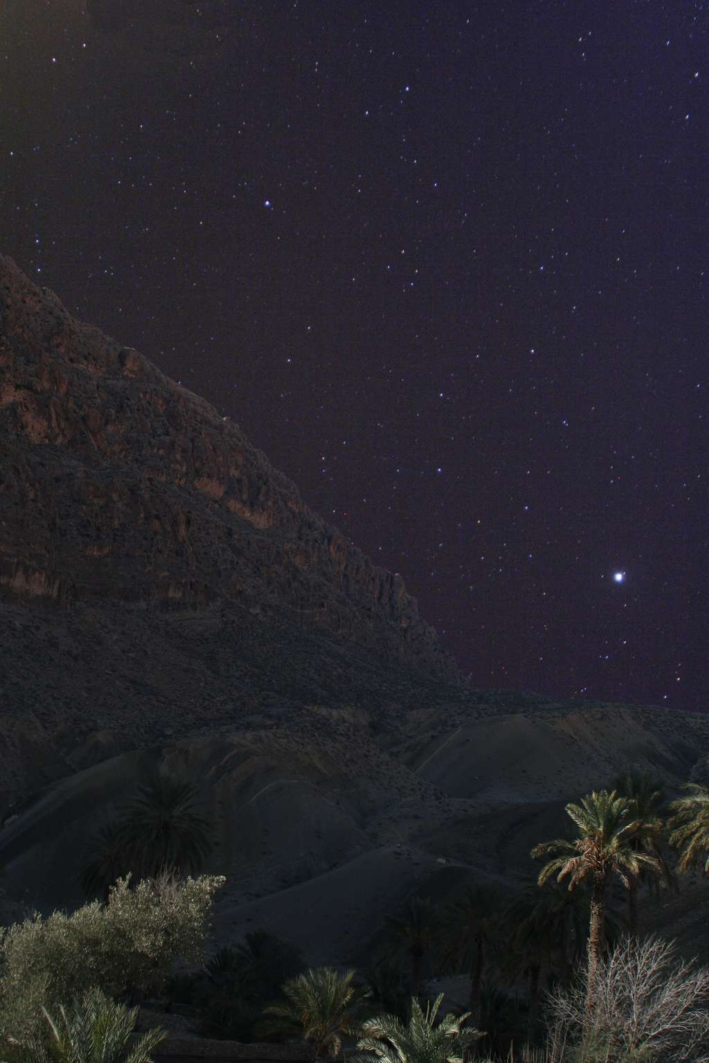 Ciel étoilé aux portes du desert d'El Kantara