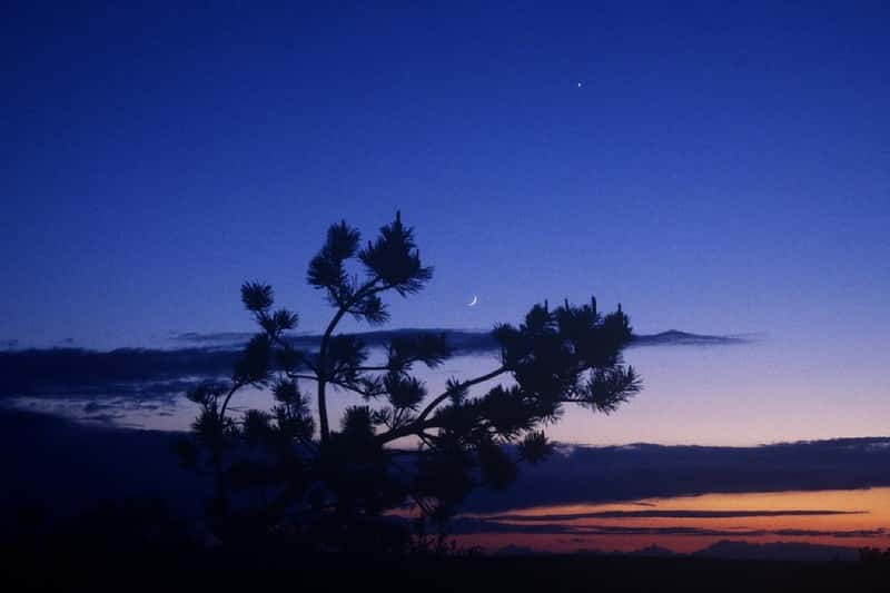 Croissant lunaire et Vénus au crépuscule