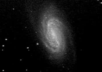 NGC 2903, dans le Lion