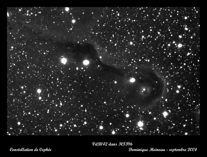 VdB 142 dans la nébuleuse IC 1396