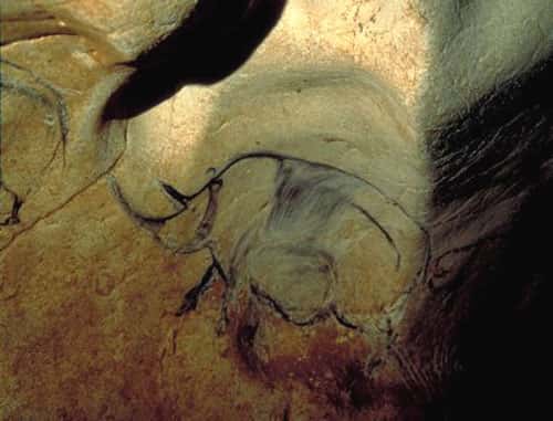 Rhinocéros de la grotte Chauvet
