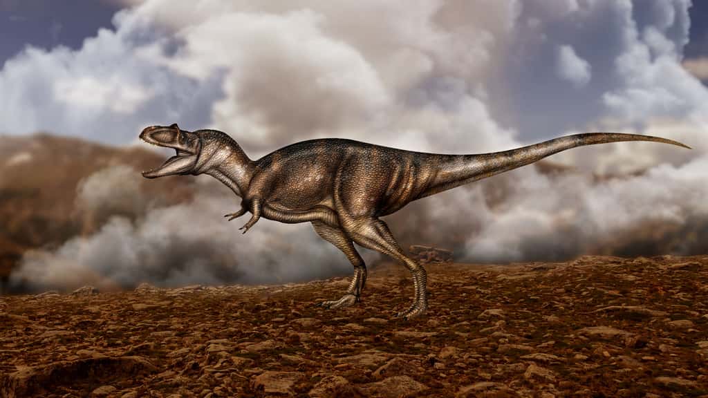 Albertosaurus sarcophagus, un parent de T-Rex
