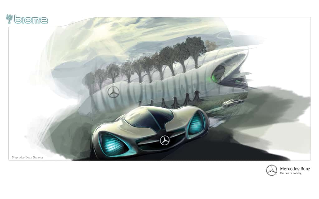 La Mercedes Biome