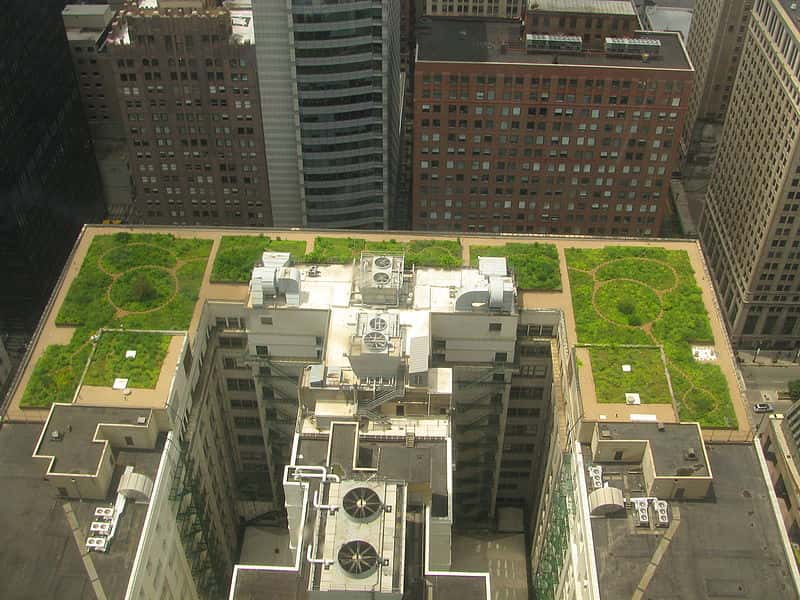 L'hôtel de ville de Chicago et son toit végétalisé