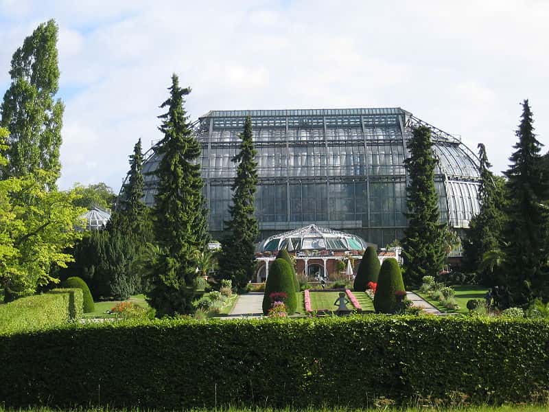 Le jardin botanique de Berlin, en Allemagne