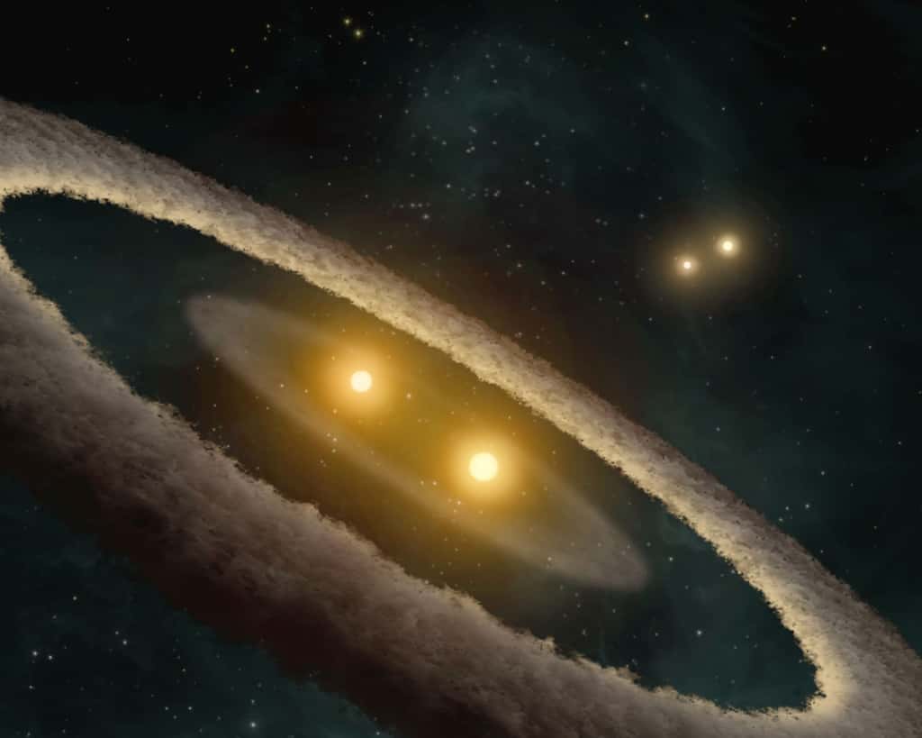 Les quatre soleils du système HD 98800