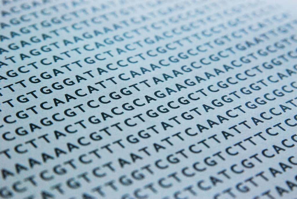 Le code génétique de l'ADN et ses nucléotides