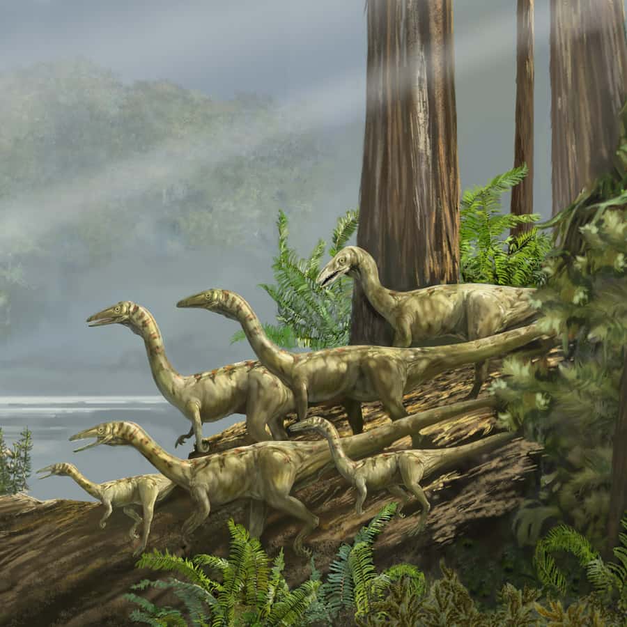 Un tiers des dinosaures n’aurait jamais existé
