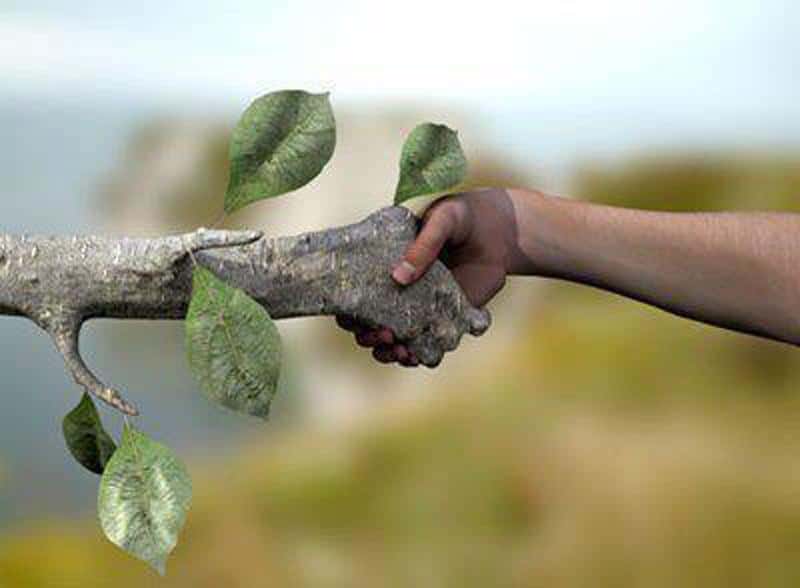 Main dans la main avec la nature