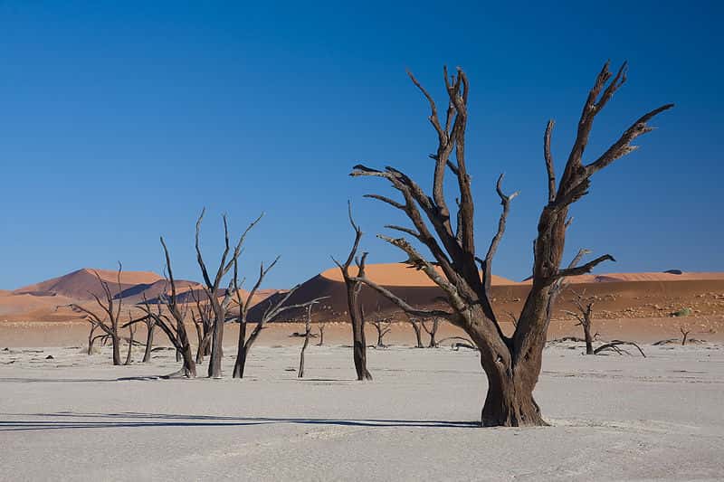Dead Vlei, en Namibie