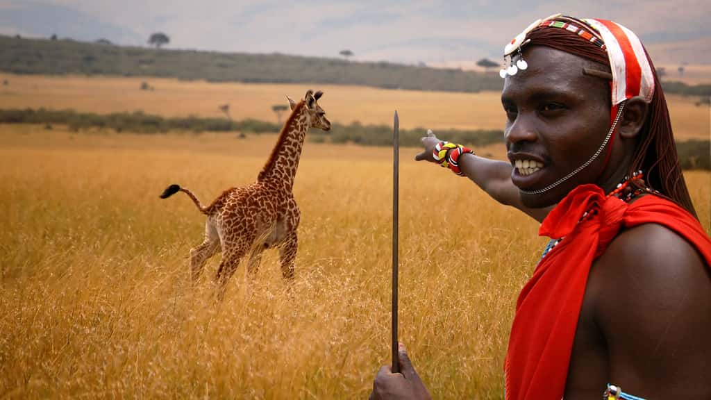 Les Maasaï, un peuple africain de guerriers semi-nomades