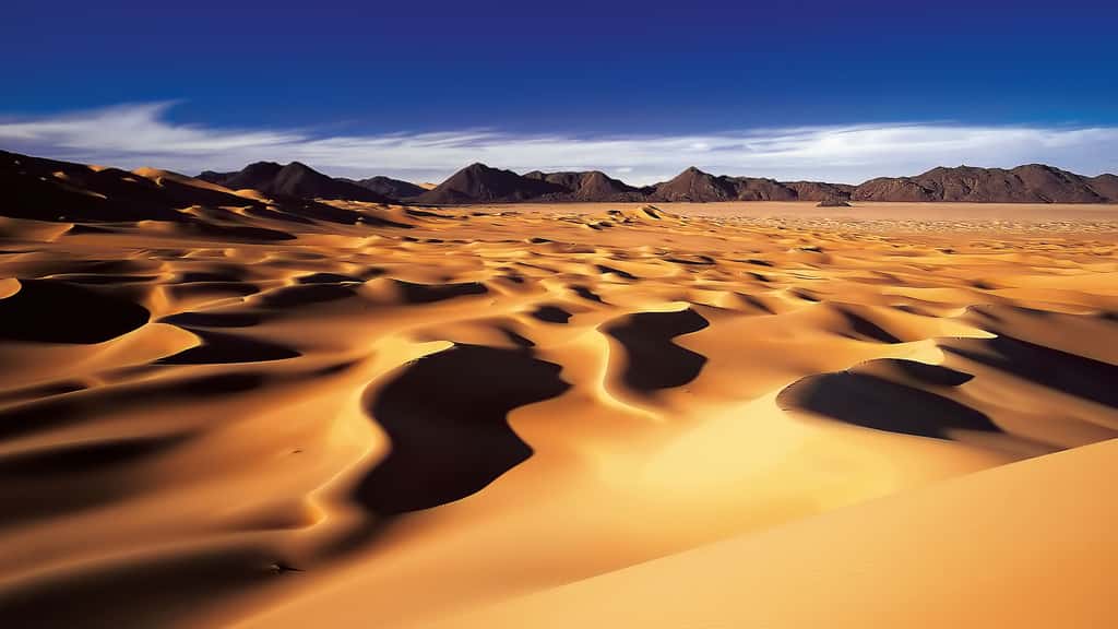 Niger, les dunes nigériennes du Sahara