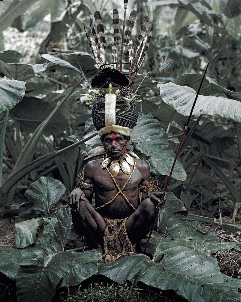 Les Kalam - Papouasie-Nouvelle-Guinée
