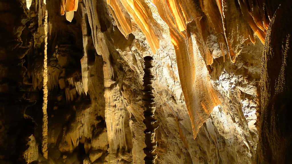 L'aven Armand et sa forêt de stalagmites, en Lozère