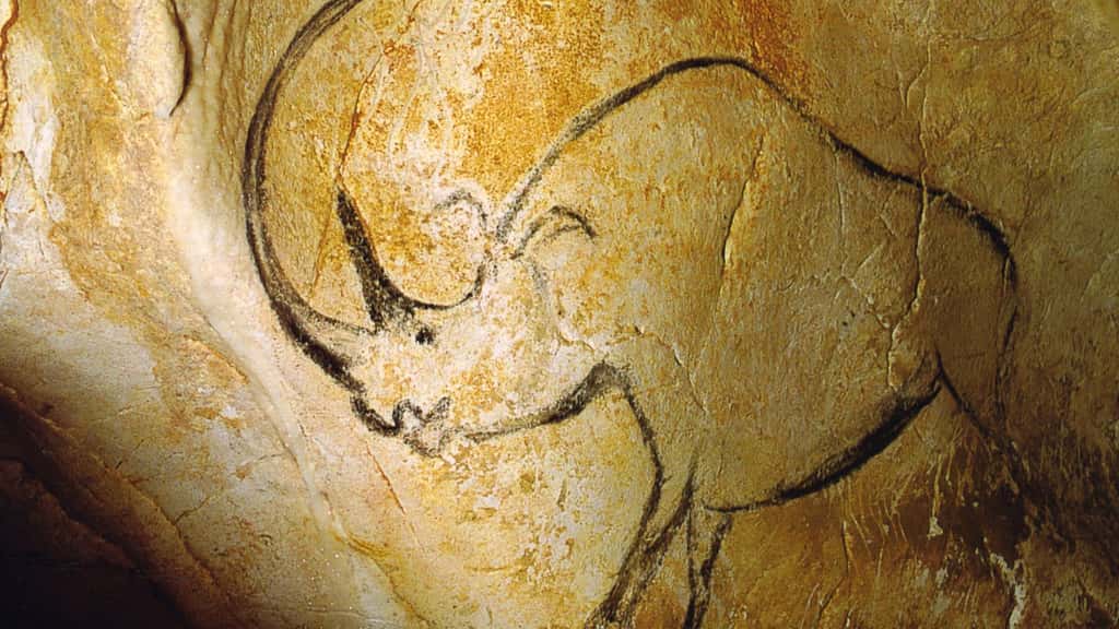 Le rhinocéros à grande corne est l'une des représentations les plus connues de la grotte Chauvet. © Inocybe, DP