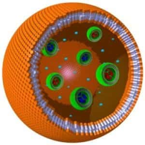 Représentation schématique d'une cellule eucaryote artificielle fabriquée dans cette étude. Des organites synthétiques ont été empaquetés dans une membrane de polymères. © université Radboud de Nimègue