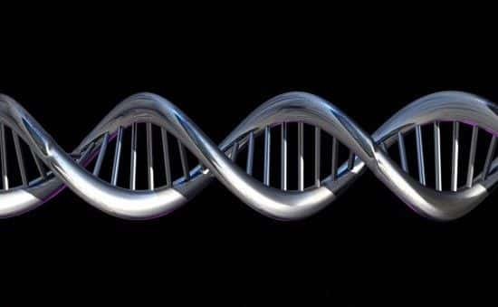 Lorsque les organismes meurent, leurs cellules se dégradent mais leur ADN peut rester dans l'environnement pendant de très nombreuses années. © Spooky Pooka, Wellcome Images, cc by nc nd 2.0