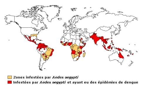 Répartition mondiale des zones infestées par le moustique-tigre <em>Aedes aegypti </em>(jaune) et des épidémies de dengue (rouge) en 2000. © Wikimedia Commons, Sanao, DP