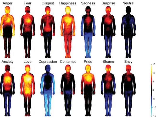 Les émotions sont associées à différents schémas d'émotion corporelle. De droite à gauche et de haut en bas : colère, peur, dégoût, joie, tristesse, surprise, neutre, anxiété, amour, déprime, mépris, fierté, honte, envie. Les couleurs représentent l'activation plus ou moins forte des régions du corps: de peu active (bleu clair) à très active (jaune). © Lauri Nummenmaa <em>et al.</em>, <em>Pnas</em>
