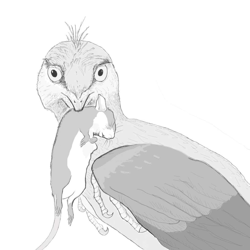 Une reproduction du microraptor mangeant un mammifère de la taille d'une souris. © Hans Larsson