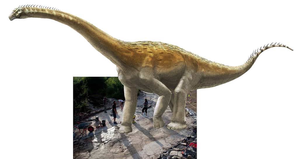 Si le sauropode de Plagne marchait dans ses empreintes… © Dessin : A. Bénéteau ; photographie : Dinojura