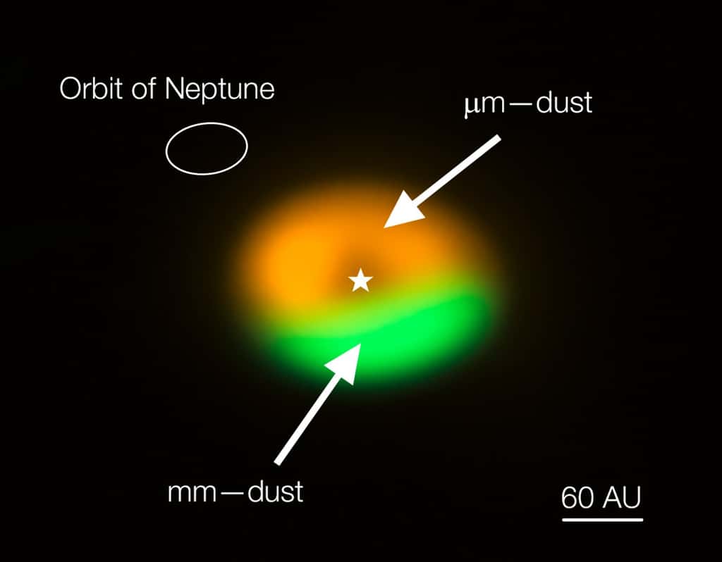 Voici l'image (couleurs non réelles) du disque de transition que montre Alma autour de Oph-IRS 48. Dans la zone orange se trouvent des grains de poussières de petites tailles, de l'ordre du micron. En vert, on observe des grains de la taille du millimètre. On est donc en présence d'un piège à poussières permettant à celles-ci de croître en taille comme dans la théorie proposée en 1995 par Pierre Barge et Joël Sommeria. L'échelle est donnée par la taille de l'orbite de Neptune en haut à gauche, et par la barre en bas à droite indiquant 60 fois la distance Terre-Soleil, donc 60 unités astronomiques (UA, <em>AU</em> en anglais). © Nienke van der Marel, Alma (ESO-Naoj-Nrao)