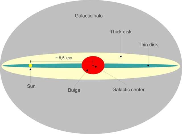 Une représentation de la Voie lactée avec son disque fin (<em>thin disk</em>) et son disque épais (<em>thick disk</em>). Le Soleil (<em>sun</em>) est représenté. © Gaba p, <em>Wikimedia Commons, </em>CC by-sa 3.0