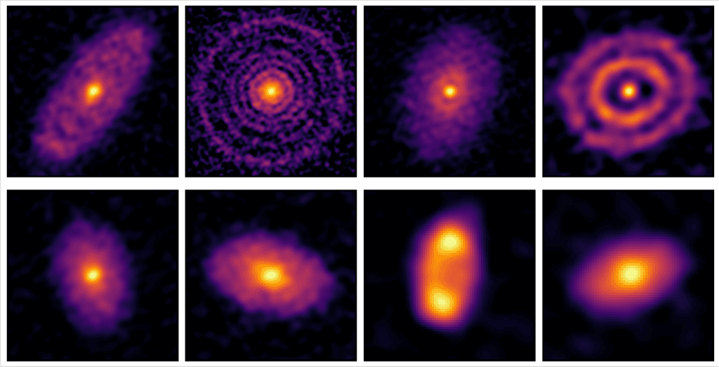 Ces images en fausses couleurs capturées par Alma dans le domaine des micro-ondes révèlent des structures de disques étonnamment riches dans l'amas Sigma Ori. © Alma (ESO, JAO, NAOJ, NRAO), J. Huang et <em>al.</em>