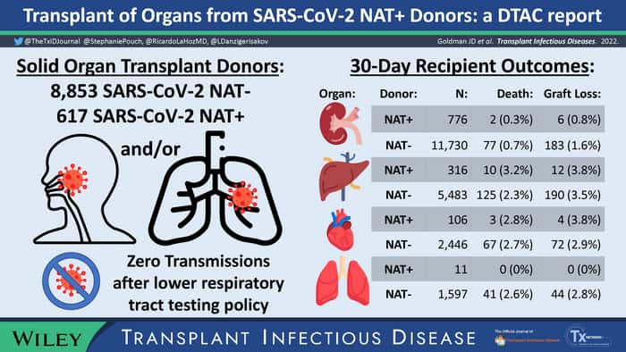 Récapitulatif des résultats trouvés : les greffés provenant de donneurs TAN+ du SARS-CoV-2 ont une survie du greffon et du patient à 30 jours similaire à celle des donneurs TAN-, et il n'y a aucune transmission du virus. © Jason Goldman, M.D.