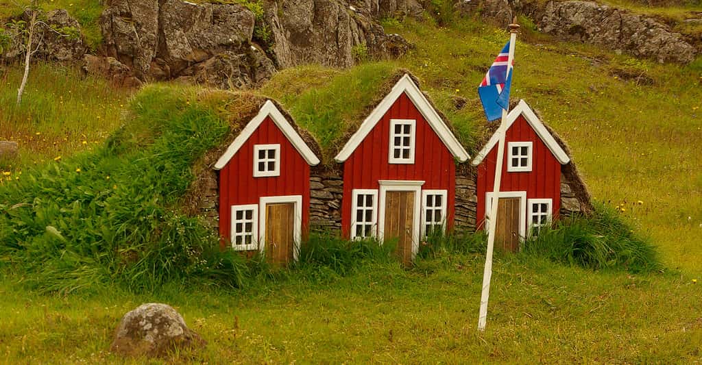 Maisons aux toits végétalisés en Islande. © Jackmac34 - Domaine public