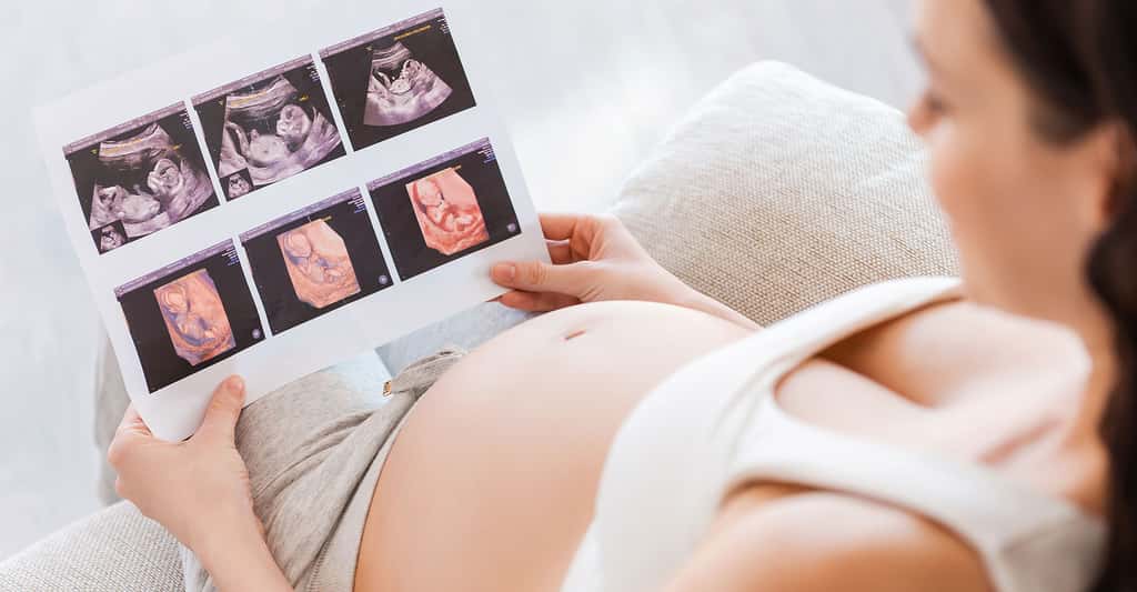 Découverte de l'évolution de l'embryon. © G-stockstudio - Shutterstock