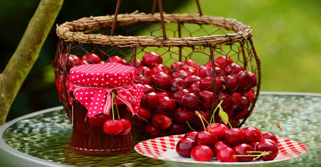 Les cerises, fruits de l'été à consommer sans modération. © Condesign - Domaine public