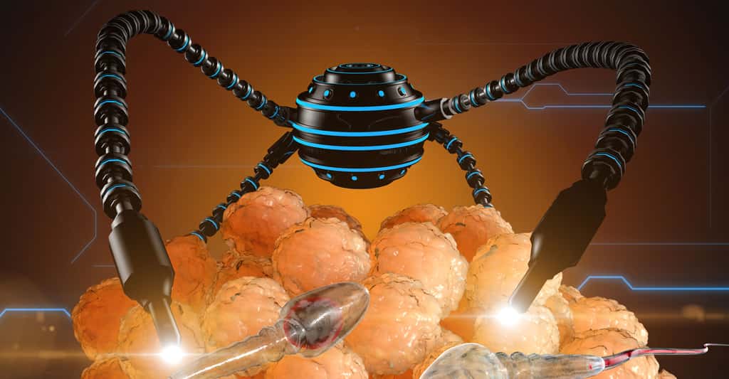 Robotique : interagir avec le nanomonde