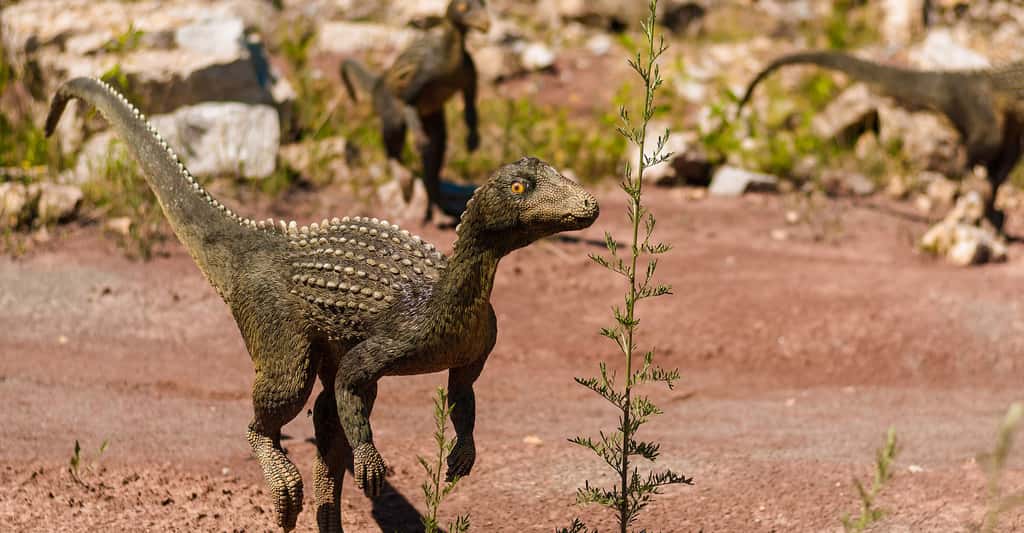 Dinosaures et autres géants du Crétacé au Maroc