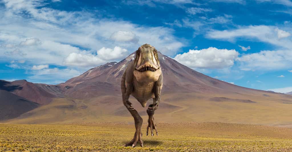<em>Carcharodontosaurus.</em> © Julian Johnson, CC By 3.0 - Diego Delso, CC by-sa 4.0