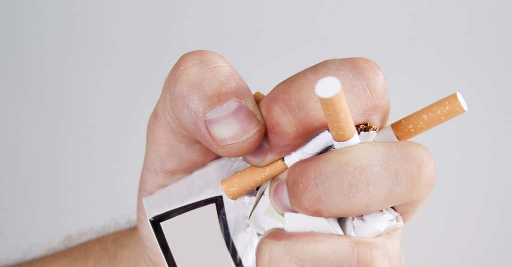 Arrêt du tabac. © Seanika, Shutterstock
