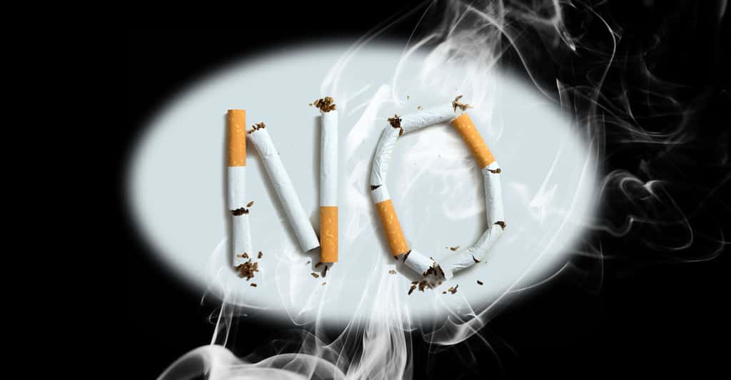 Les effets de la nicotine rendent dépendants. © Kenishirotie, Shutterstock