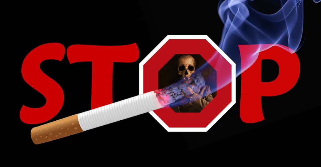 Les cigarettes un danger pour la santé. © Geralt, Shuttestock