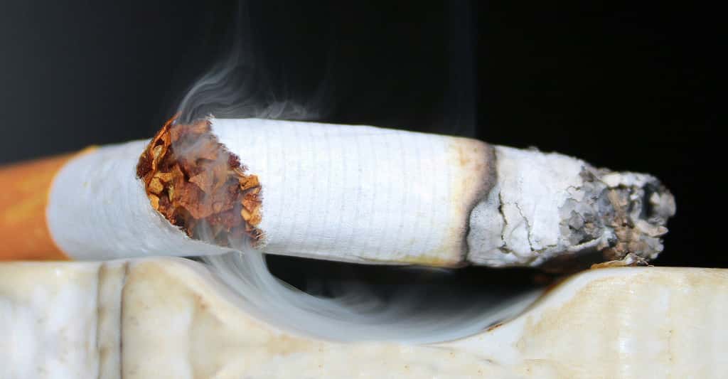 Arrêter de fumer. © Myriams-Fotos, domaine public